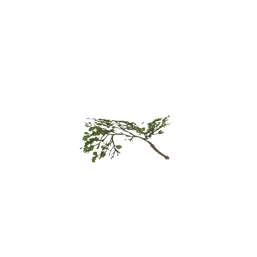 White Oak Branch pre scale 1_35 simplified